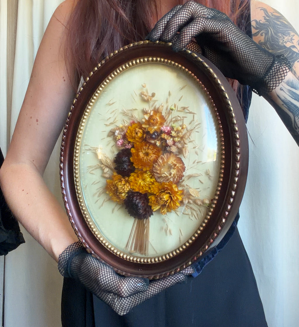 Oval dried flower frame under convex glass - vintage botanical curiosity cabinet