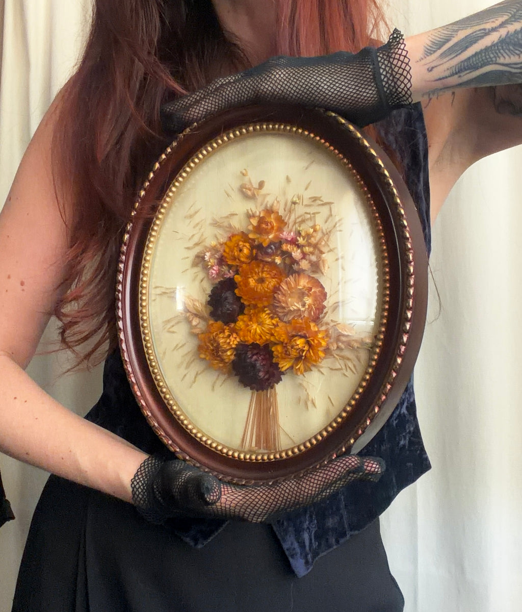 Oval dried flower frame under convex glass - vintage botanical curiosity cabinet