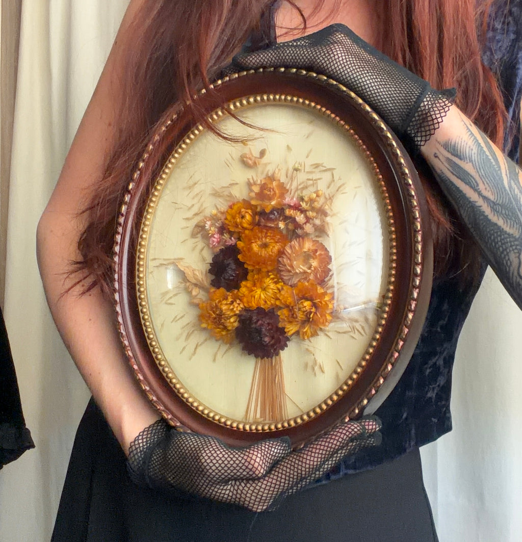 Oval dried flower frame under convex glass - vintage botanical curiosity cabinet