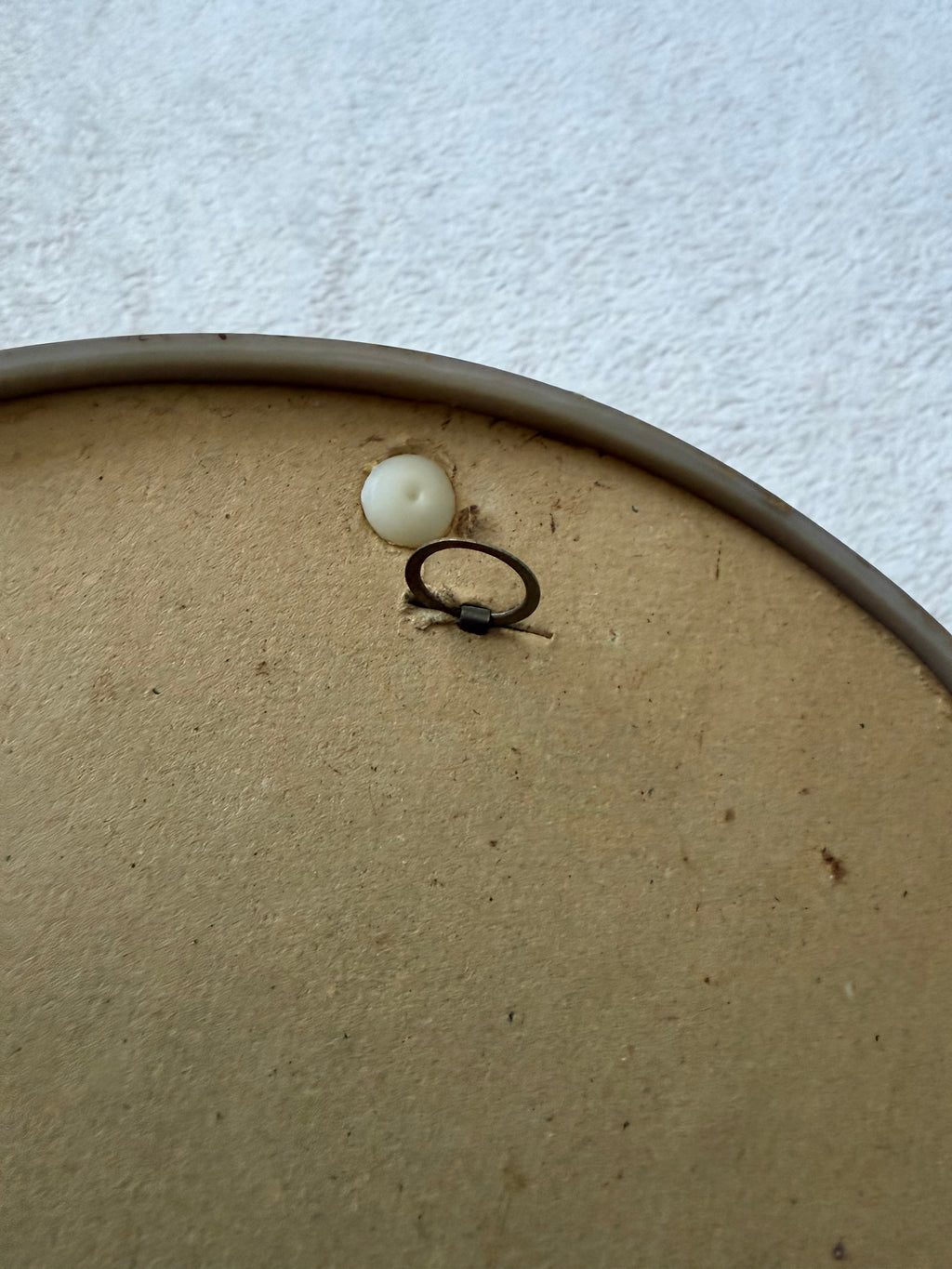 Oval dried flower frame under convex glass - vintage botanical curiosity cabinet