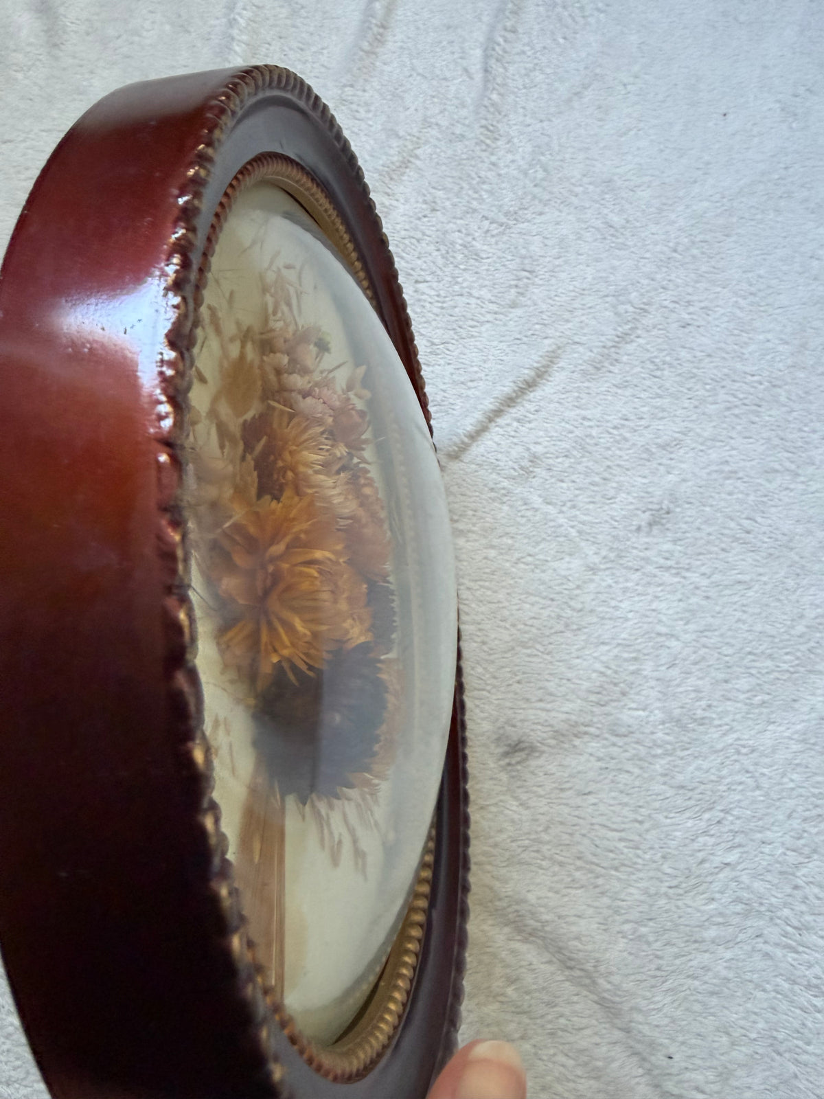 Oval dried flower frame under convex glass - vintage botanical curiosity cabinet